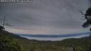 ./images/calvert/fitz-hugh-hecate/20250623/fitz-hugh-hecate20250623_215509M.jpg