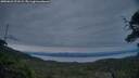 ./images/calvert/fitz-hugh-hecate/20250623/fitz-hugh-hecate20250623_221009M.jpg