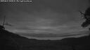 ./images/calvert/fitz-hugh-hecate/20250624/fitz-hugh-hecate20250624_043008M.jpg