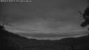 ./images/calvert/fitz-hugh-hecate/20250624/fitz-hugh-hecate20250624_043506M.jpg