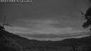 ./images/calvert/fitz-hugh-hecate/20250624/fitz-hugh-hecate20250624_044010M.jpg