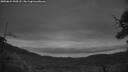 ./images/calvert/fitz-hugh-hecate/20250624/fitz-hugh-hecate20250624_044508M.jpg