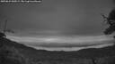 ./images/calvert/fitz-hugh-hecate/20250624/fitz-hugh-hecate20250624_045009M.jpg