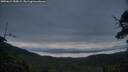 ./images/calvert/fitz-hugh-hecate/20250624/fitz-hugh-hecate20250624_050009M.jpg