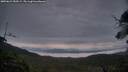 ./images/calvert/fitz-hugh-hecate/20250624/fitz-hugh-hecate20250624_050508M.jpg