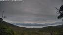 ./images/calvert/fitz-hugh-hecate/20250624/fitz-hugh-hecate20250624_051507M.jpg