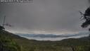 ./images/calvert/fitz-hugh-hecate/20250624/fitz-hugh-hecate20250624_052508M.jpg
