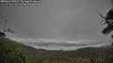 ./images/calvert/fitz-hugh-hecate/20250624/fitz-hugh-hecate20250624_053009M.jpg