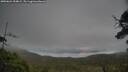 ./images/calvert/fitz-hugh-hecate/20250624/fitz-hugh-hecate20250624_054009M.jpg