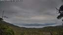 ./images/calvert/fitz-hugh-hecate/20250624/fitz-hugh-hecate20250624_055010M.jpg