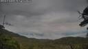 ./images/calvert/fitz-hugh-hecate/20250624/fitz-hugh-hecate20250624_060009M.jpg