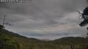 ./images/calvert/fitz-hugh-hecate/20250624/fitz-hugh-hecate20250624_060509M.jpg