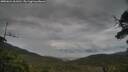 ./images/calvert/fitz-hugh-hecate/20250624/fitz-hugh-hecate20250624_061010M.jpg