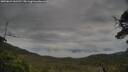 ./images/calvert/fitz-hugh-hecate/20250624/fitz-hugh-hecate20250624_061511M.jpg