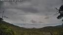 ./images/calvert/fitz-hugh-hecate/20250624/fitz-hugh-hecate20250624_062509M.jpg