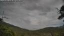 ./images/calvert/fitz-hugh-hecate/20250624/fitz-hugh-hecate20250624_063010M.jpg