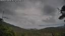 ./images/calvert/fitz-hugh-hecate/20250624/fitz-hugh-hecate20250624_063510M.jpg