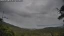 ./images/calvert/fitz-hugh-hecate/20250624/fitz-hugh-hecate20250624_064010M.jpg
