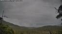 ./images/calvert/fitz-hugh-hecate/20250624/fitz-hugh-hecate20250624_065010M.jpg