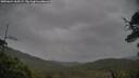 ./images/calvert/fitz-hugh-hecate/20250624/fitz-hugh-hecate20250624_065509M.jpg