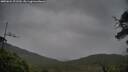 ./images/calvert/fitz-hugh-hecate/20250624/fitz-hugh-hecate20250624_071510M.jpg