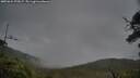 ./images/calvert/fitz-hugh-hecate/20250624/fitz-hugh-hecate20250624_072007M.jpg