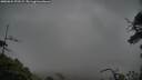 ./images/calvert/fitz-hugh-hecate/20250624/fitz-hugh-hecate20250624_072509M.jpg