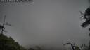 ./images/calvert/fitz-hugh-hecate/20250624/fitz-hugh-hecate20250624_073510M.jpg