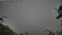 ./images/calvert/fitz-hugh-hecate/20250624/fitz-hugh-hecate20250624_074508M.jpg