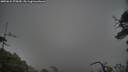 ./images/calvert/fitz-hugh-hecate/20250624/fitz-hugh-hecate20250624_075010M.jpg