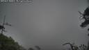 ./images/calvert/fitz-hugh-hecate/20250624/fitz-hugh-hecate20250624_080011M.jpg