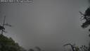 ./images/calvert/fitz-hugh-hecate/20250624/fitz-hugh-hecate20250624_080504M.jpg