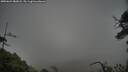 ./images/calvert/fitz-hugh-hecate/20250624/fitz-hugh-hecate20250624_082008M.jpg
