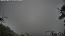 ./images/calvert/fitz-hugh-hecate/20250624/fitz-hugh-hecate20250624_084509M.jpg