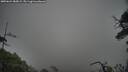 ./images/calvert/fitz-hugh-hecate/20250624/fitz-hugh-hecate20250624_085008M.jpg
