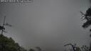 ./images/calvert/fitz-hugh-hecate/20250624/fitz-hugh-hecate20250624_085510M.jpg