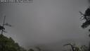 ./images/calvert/fitz-hugh-hecate/20250624/fitz-hugh-hecate20250624_090010M.jpg