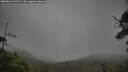 ./images/calvert/fitz-hugh-hecate/20250624/fitz-hugh-hecate20250624_092509M.jpg