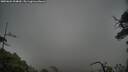 ./images/calvert/fitz-hugh-hecate/20250624/fitz-hugh-hecate20250624_094010M.jpg