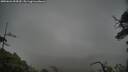 ./images/calvert/fitz-hugh-hecate/20250624/fitz-hugh-hecate20250624_094509M.jpg