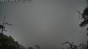 ./images/calvert/fitz-hugh-hecate/20250624/fitz-hugh-hecate20250624_095009M.jpg