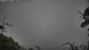./images/calvert/fitz-hugh-hecate/20250624/fitz-hugh-hecate20250624_100509M.jpg
