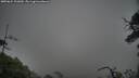./images/calvert/fitz-hugh-hecate/20250624/fitz-hugh-hecate20250624_101009M.jpg