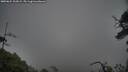 ./images/calvert/fitz-hugh-hecate/20250624/fitz-hugh-hecate20250624_102009M.jpg