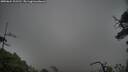 ./images/calvert/fitz-hugh-hecate/20250624/fitz-hugh-hecate20250624_102510M.jpg