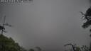./images/calvert/fitz-hugh-hecate/20250624/fitz-hugh-hecate20250624_103510M.jpg