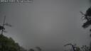 ./images/calvert/fitz-hugh-hecate/20250624/fitz-hugh-hecate20250624_105010M.jpg