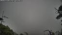 ./images/calvert/fitz-hugh-hecate/20250624/fitz-hugh-hecate20250624_111009M.jpg