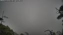 ./images/calvert/fitz-hugh-hecate/20250624/fitz-hugh-hecate20250624_111510M.jpg