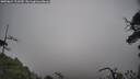 ./images/calvert/fitz-hugh-hecate/20250624/fitz-hugh-hecate20250624_112510M.jpg
